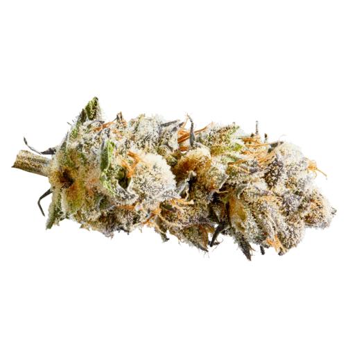 Watches In Black White