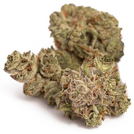 Yellow Flashing Dog Collar