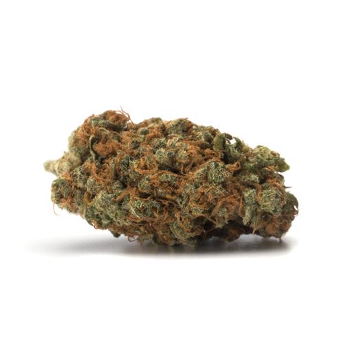 Camping Product Shower