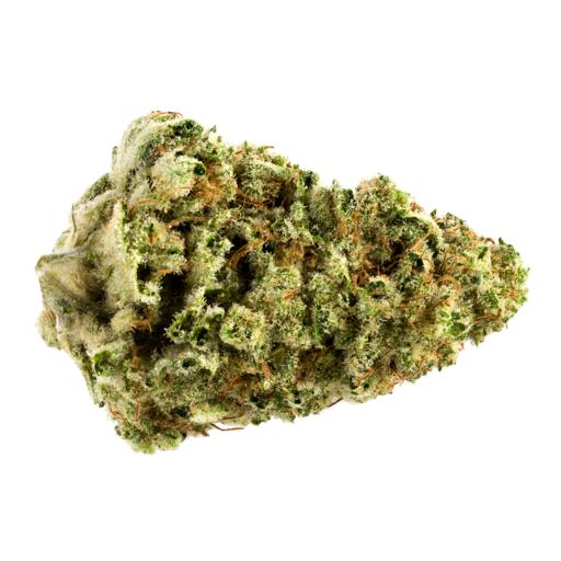 Kid's Leather Jacket