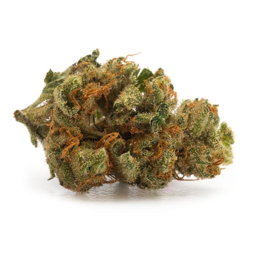 Handsfree Bluetooth Waterproof Speaker