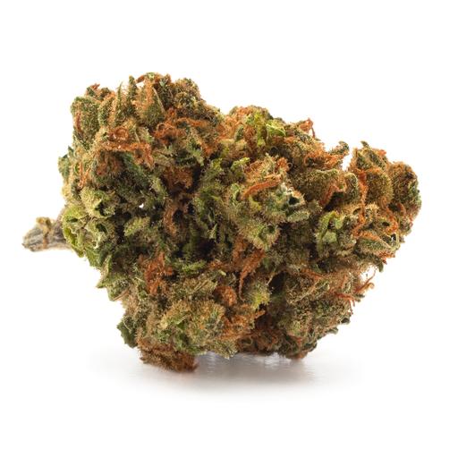 White Lacey Lingerie Top