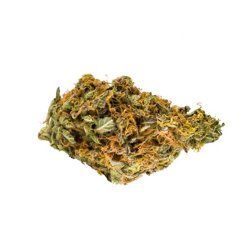 White T Shirt With Blue And Gold